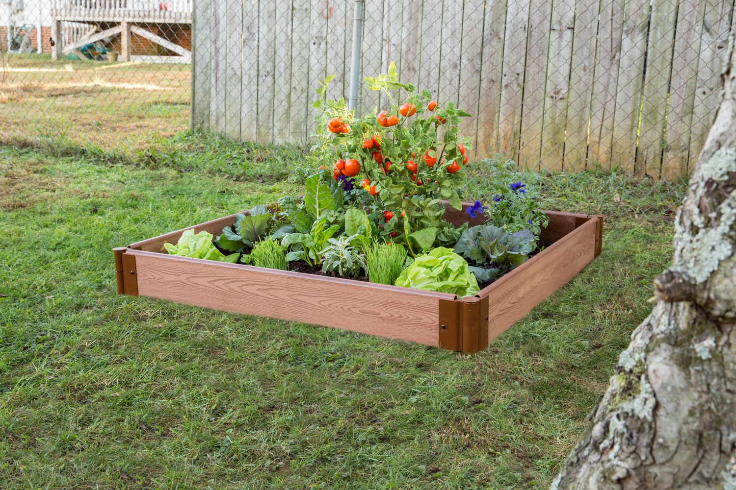 Frame It All Tool-Free Classic Sienna Raised Garden Bed 8 x 8 x 11-2 Profile 