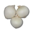 thumbnail image 1 of Onion, White, Sold in singles, 0.24 - 0.39 KG, 1 of 5