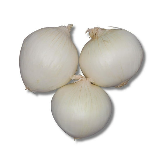 Onion, White, Sold in singles, 0.24 - 0.39 KG