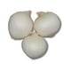 Oignon blanc, Vendue individuellement, 0,24 - 0,39 kg – image 1 sur 5
