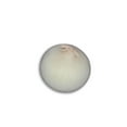thumbnail image 2 of Onion, White, Sold in singles, 0.24 - 0.39 KG, 2 of 5