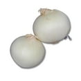thumbnail image 3 of Onion, White, Sold in singles, 0.24 - 0.39 KG, 3 of 5