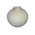 thumbnail image 5 of Onion, White, Sold in singles, 0.24 - 0.39 KG, 5 of 5