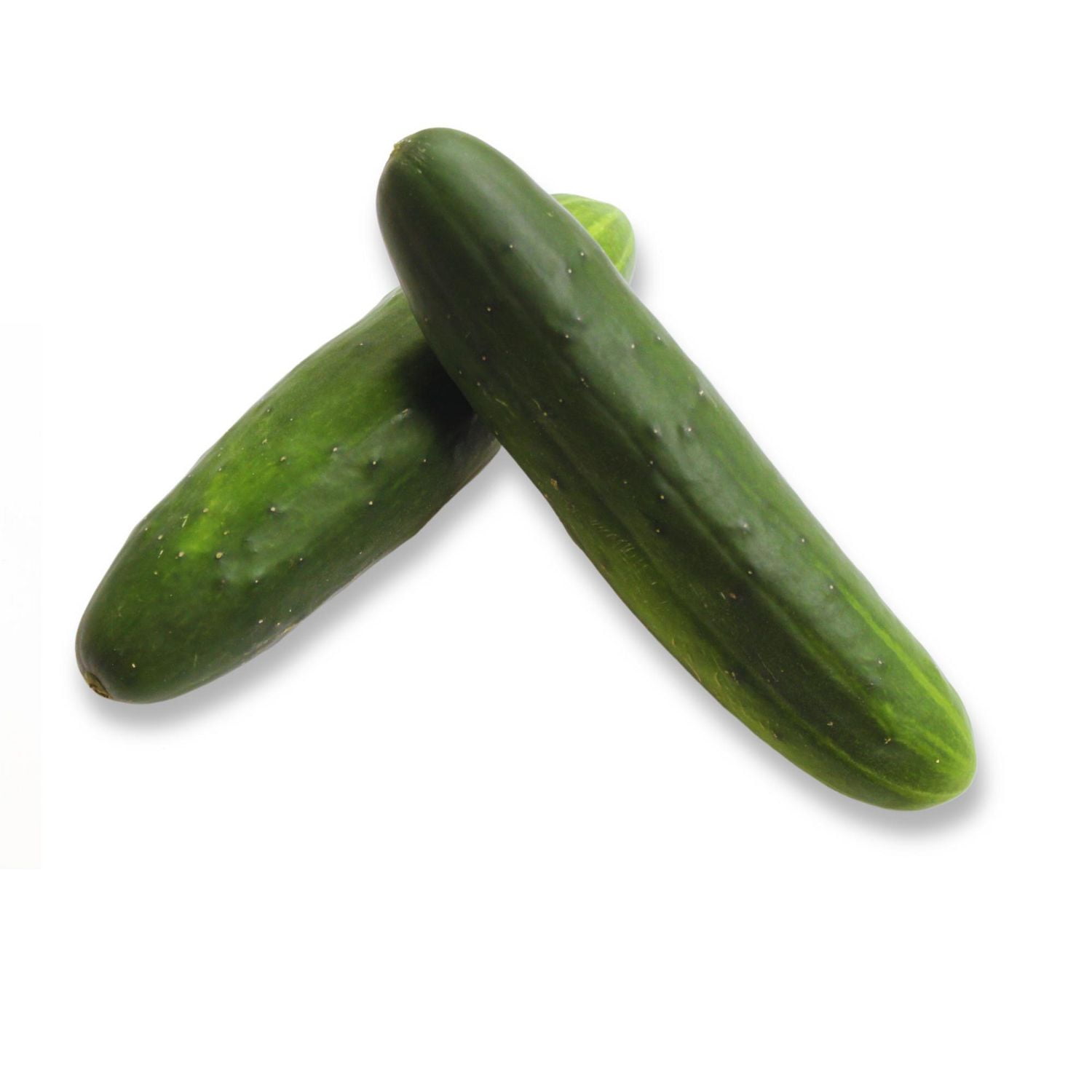 Field Cucumber, 1 EA