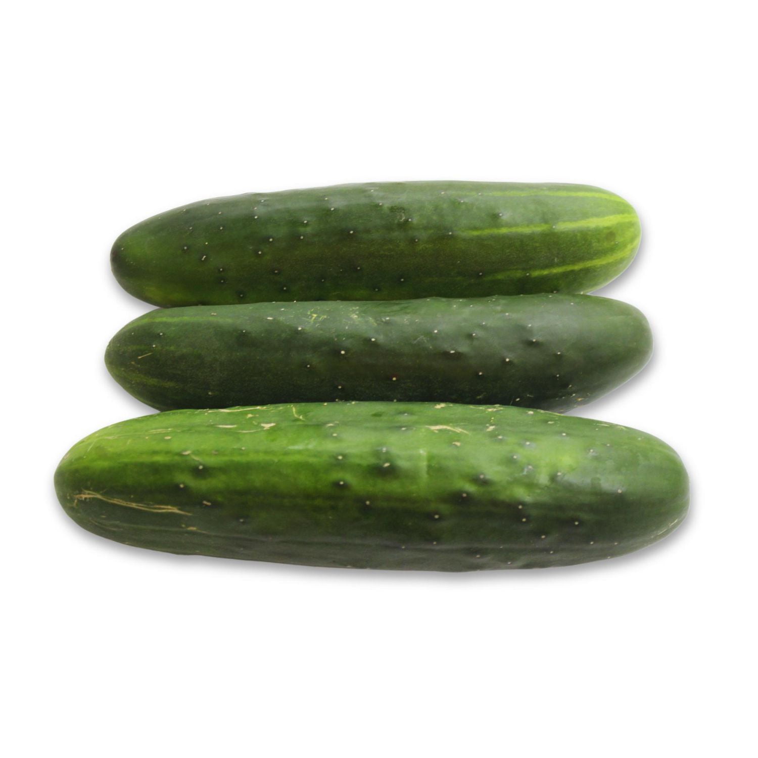 Field Cucumber, 1 EA