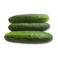 thumbnail image 4 of Concombre des champs, 4 of 5