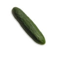 thumbnail image 5 of Concombre des champs, 5 of 5