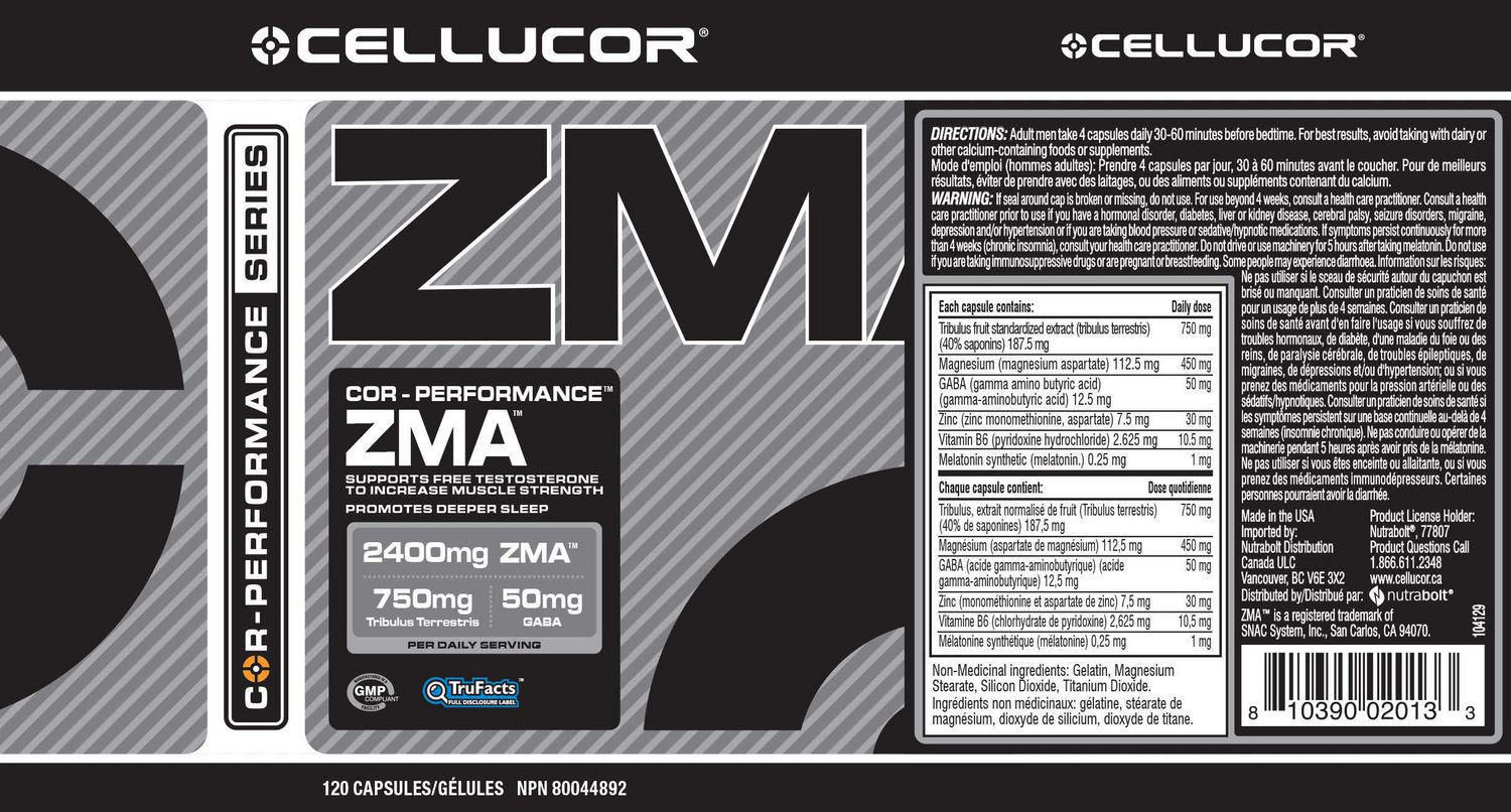 薬物治療学 VISUAL CORE PHARMA gammaCore® Receives FDA Clearance for the Acute Treatment of