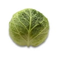 thumbnail image 1 of Chou de Savoie, Vendue individuellement, 1.13 - 1.80 KG, 1 of 5