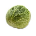 thumbnail image 3 of Chou de Savoie, Vendue individuellement, 1.13 - 1.80 KG, 3 of 5