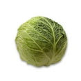 thumbnail image 4 of Chou de Savoie, Vendue individuellement, 1.13 - 1.80 KG, 4 of 5