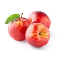 thumbnail image 1 of Apple, Empire, Sold in singles, 0.13 - 0.18 KG, 1 of 1