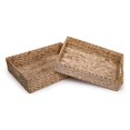 thumbnail image 1 of Truu Design Ensemble de jacinthes d’eau avec plateau, 1 of 5