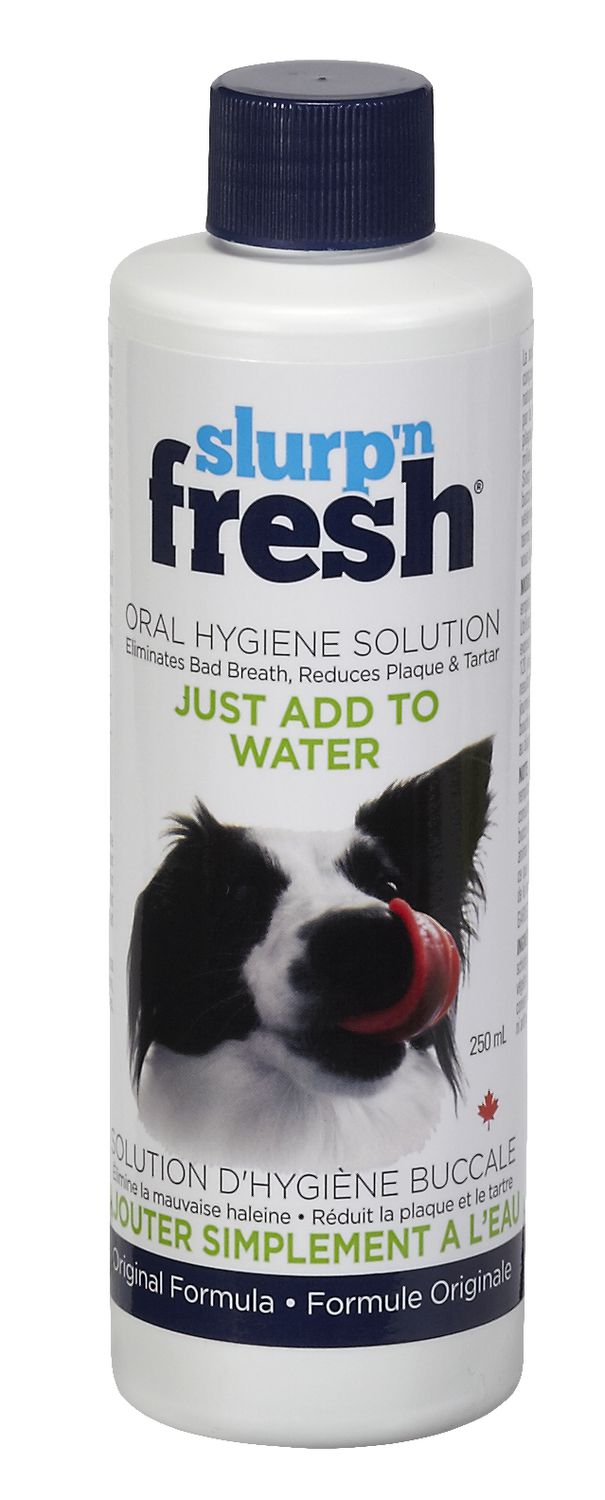 Enviro Fresh Canada Slurp'n Fresh Oral Hygiene Solution Walmart Canada