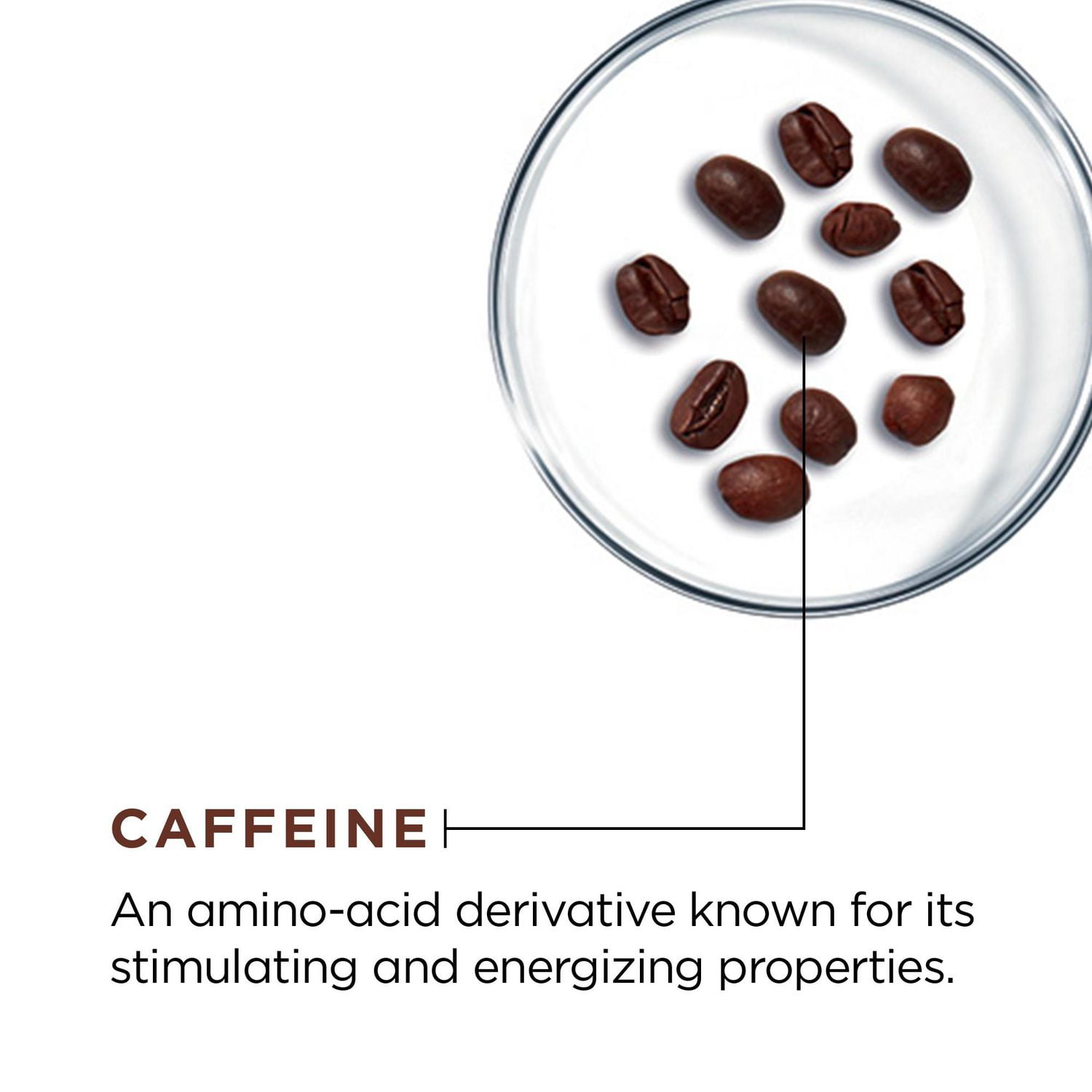 L'Oréal Paris Eye Defense AntAging Cream , with Caffeine & Hyaluronic