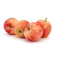 thumbnail image 1 of Apple, Sunrise, 1 of 1