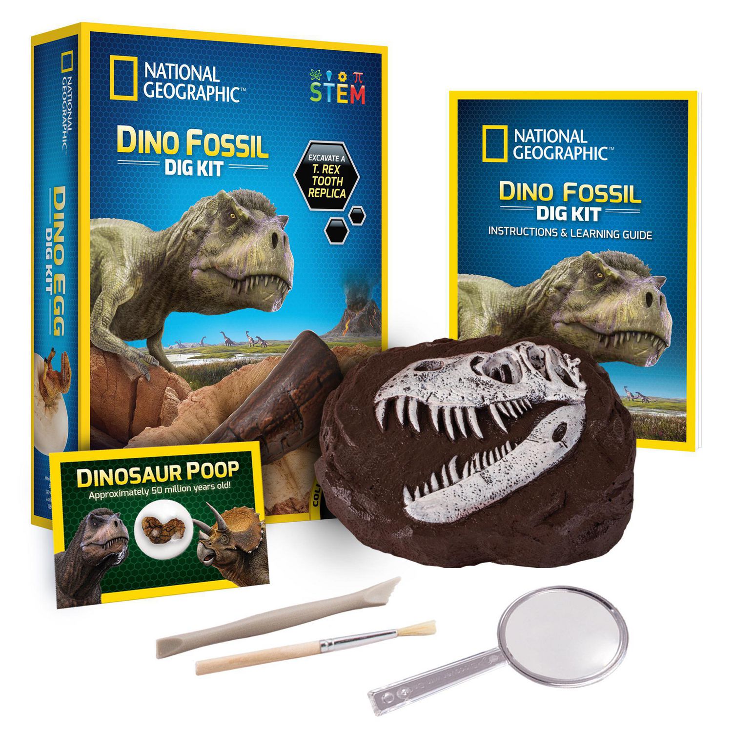 Kit de creusement de fossiles de dinosaures pour les enfants, Dig