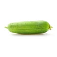 thumbnail image 1 of Pointed Gourd, 1 of 1