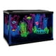 GloFish Kit d'aquarium parfait pour débutant 5 gallons – image 5 sur 7