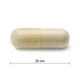 Jamieson Capsules de Glucosamine 500 mg 360 gélules – image 2 sur 3