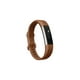 Grande bande d'accessoire Alta HR de Fitbit en cuir brun – image 1 sur 4