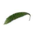 thumbnail image 1 of Karella (courge amère), 1 of 1