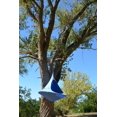 thumbnail image 2 of Cacoon double Vivere en bleu ciel, 2 of 2