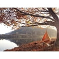 thumbnail image 2 of Seul cacoon Vivere en mangue, 2 of 2