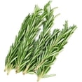 thumbnail image 1 of Organic Rosemary, 1 of 1