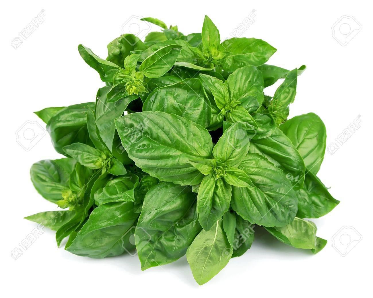 Organic Basil Country Herbs Walmart.ca