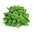thumbnail image 1 of Organic Basil Country Herbs, 1 of 1