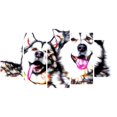 thumbnail image 1 of Design Art Husky Buddies Canvas Wall Art, 1 of 3