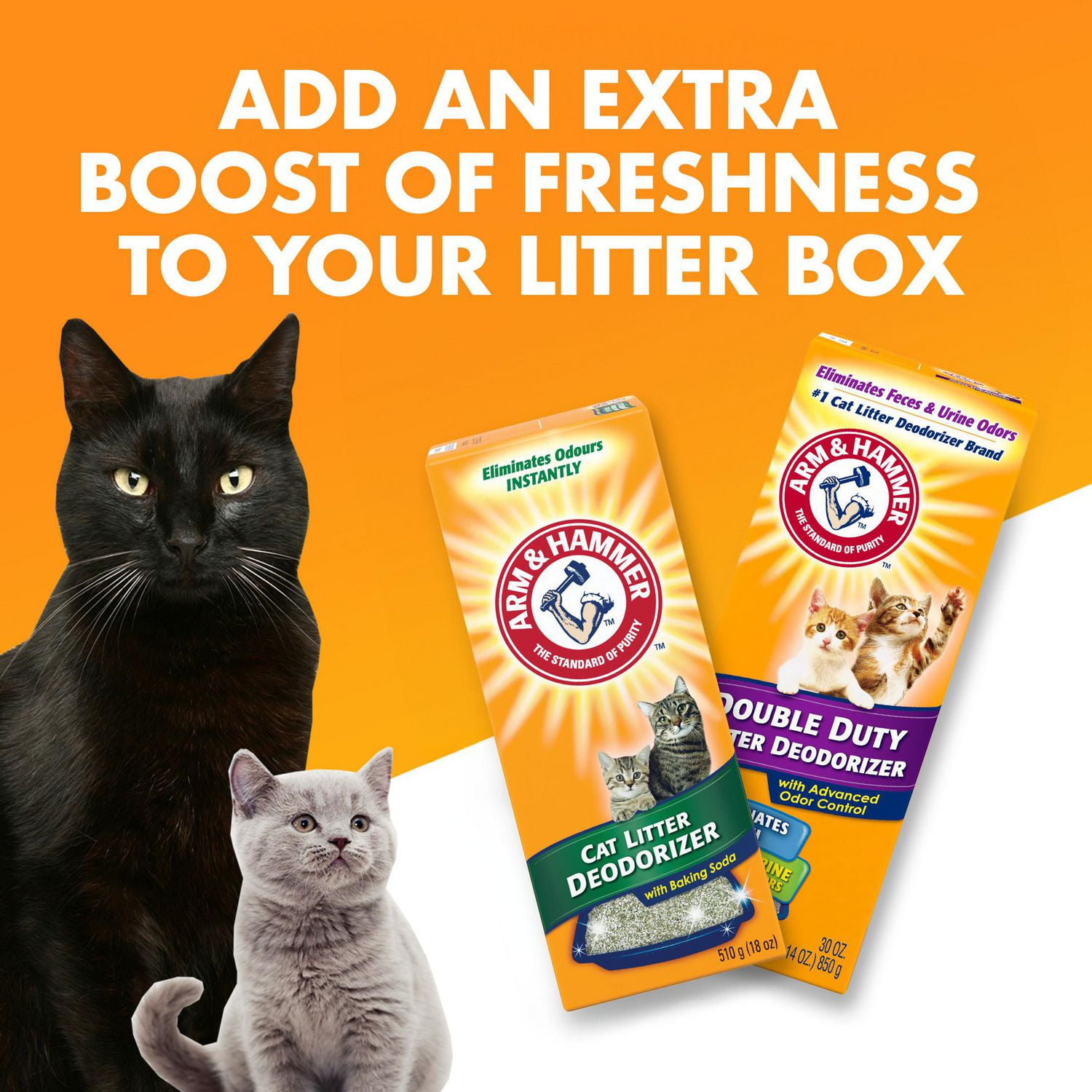 Arm and hammer double duty cat litter coupons best sale