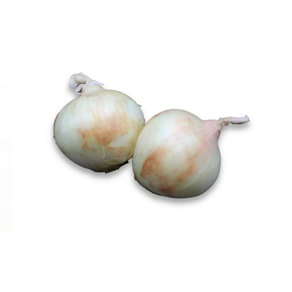 Onion, Sweet, Sold in singles, 0.34 - 0.63 KG