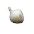 thumbnail image 2 of Oignons doux, Vendue individuellement, 0.34 - 0.63 KG, 2 of 5