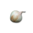 thumbnail image 5 of Oignons doux, Vendue individuellement, 0.34 - 0.63 KG, 5 of 5
