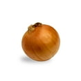 thumbnail image 4 of Onion, Yellow, Sold in singles, 0.15 - 0.43 KG, 4 of 5