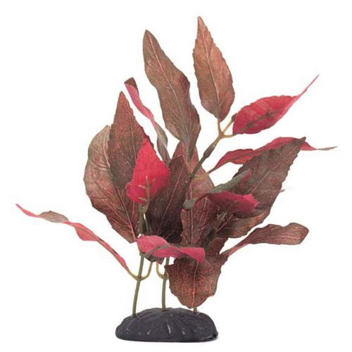 "marina Ecoscaper Alternanthera Cardinalis Silk Plant, 20 Cm (8