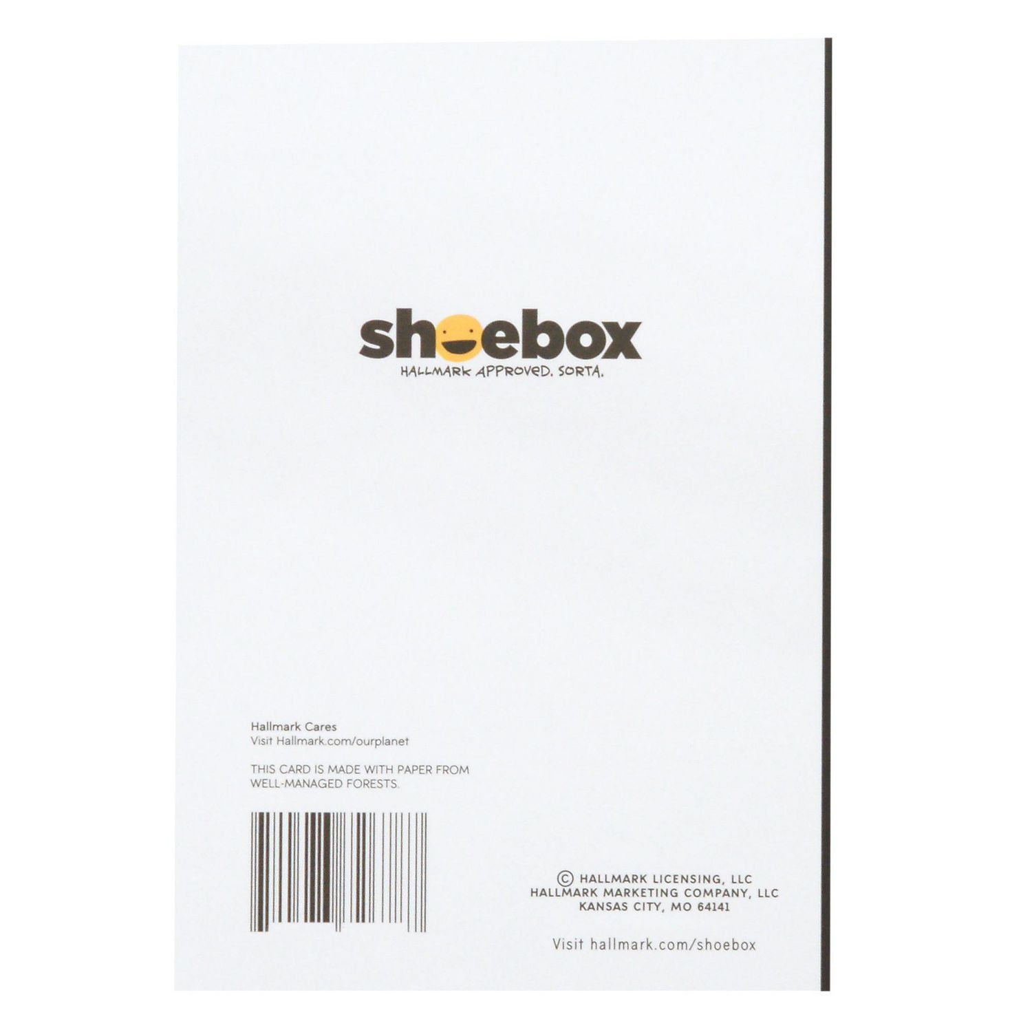 Shoebox company hot sale