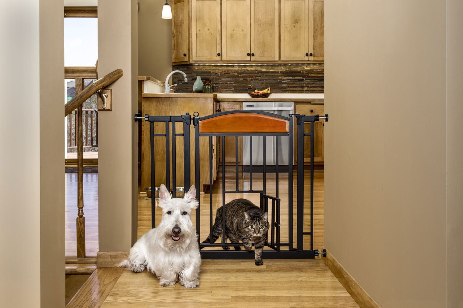 Carlson pet products design studio sale home decor walk through pet gate