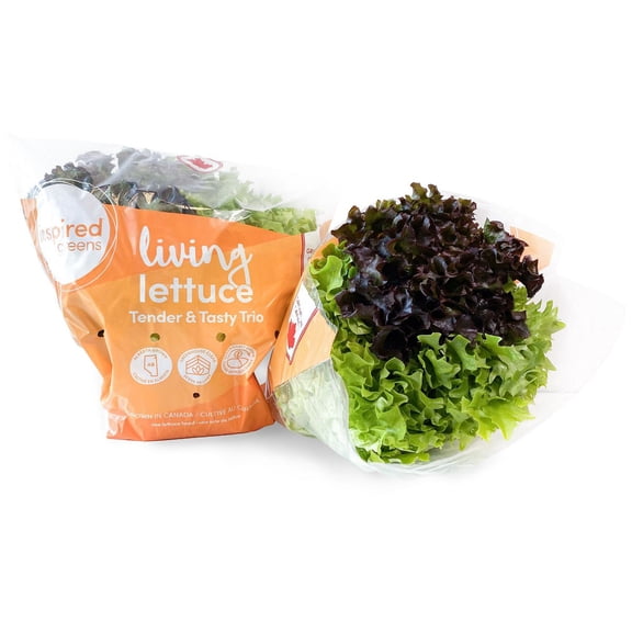 Inspired Greens Living Lettuce Tender & Tasty Trio, Living Lettuce Trio