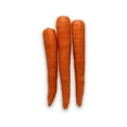 thumbnail image 3 of Carrot, Jumbo, Sold in singles, 0.25 - 0.80 KG, 3 of 5