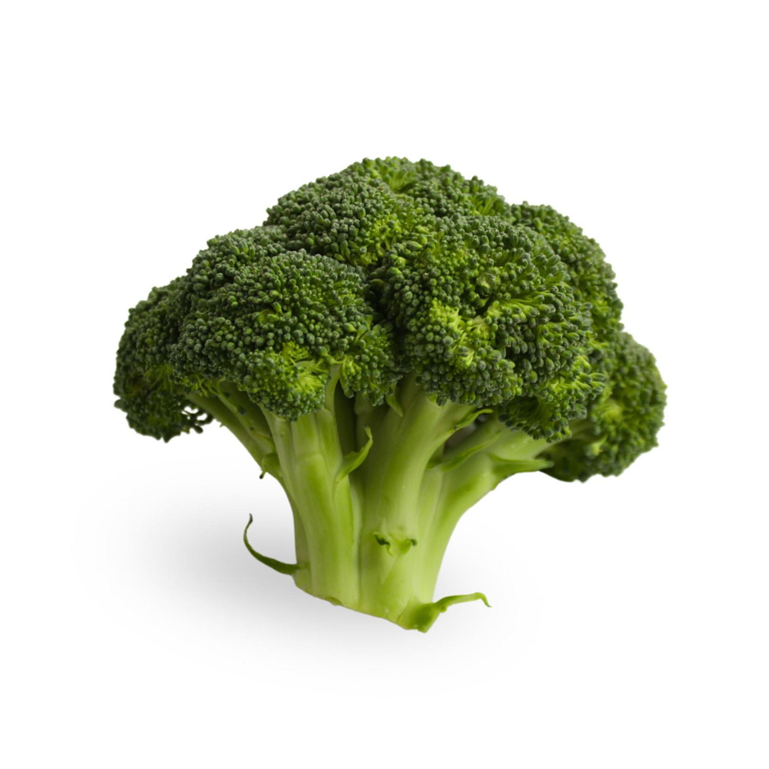 Brocoli Tiges Vendus individuellement