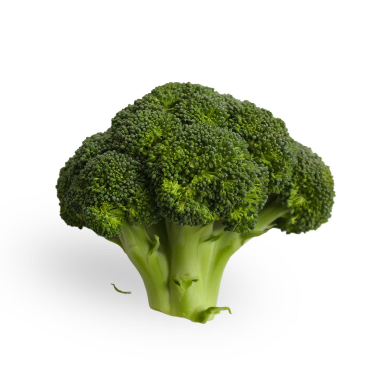 Brocoli Tiges Vendus individuellement