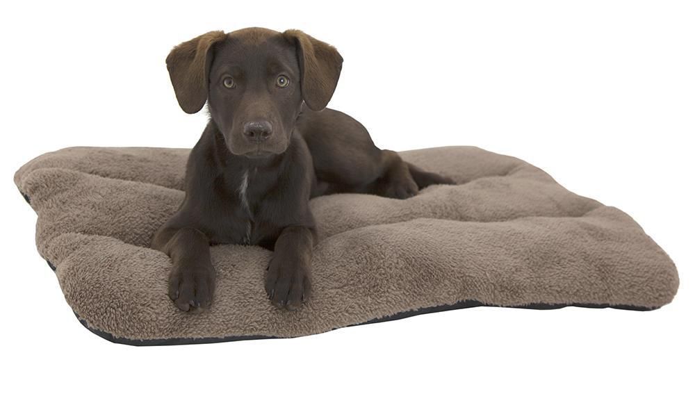 Labrador bed shop size