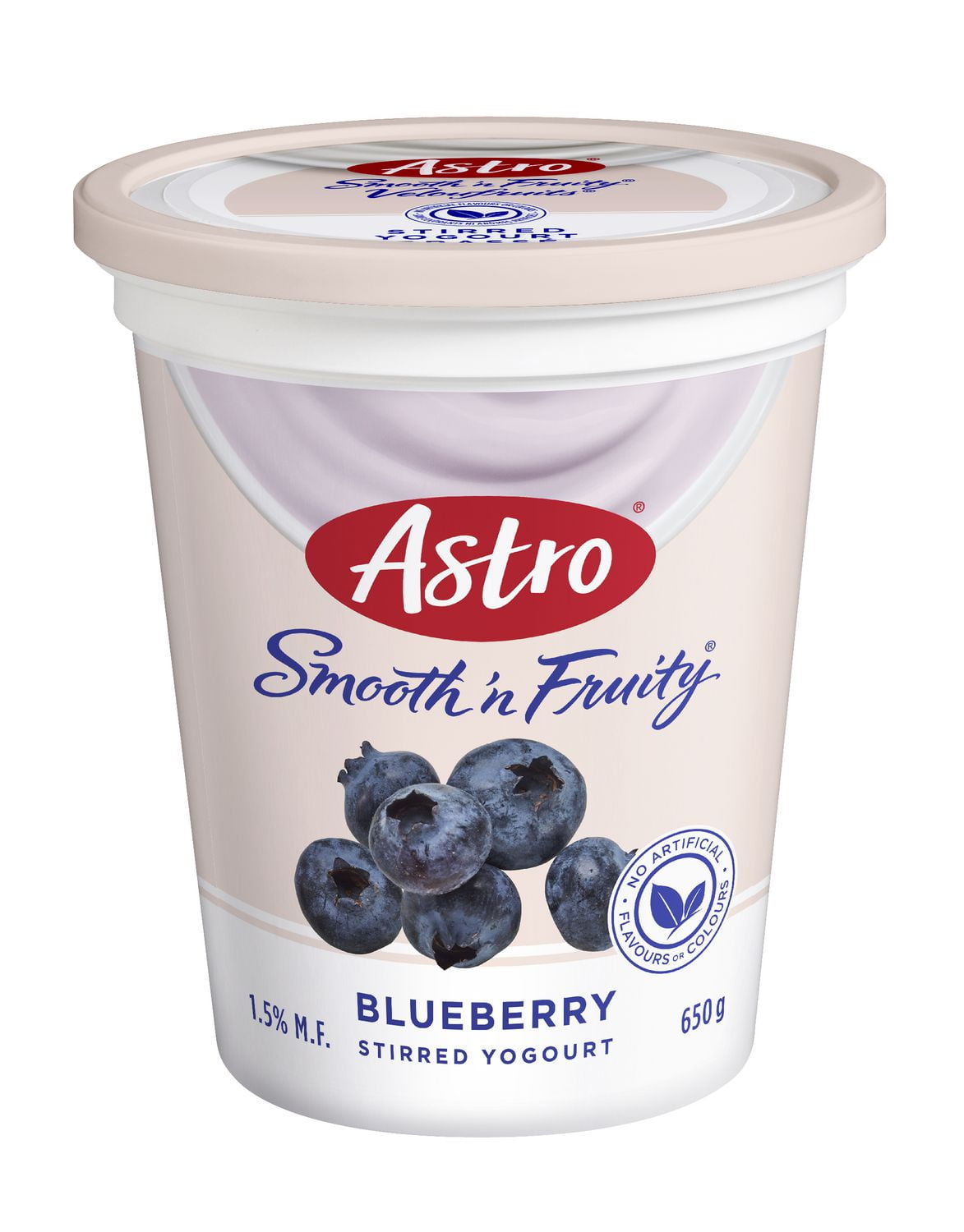Astro® Smooth ‘n Fruity® Blueberry Yogurt Walmart Canada