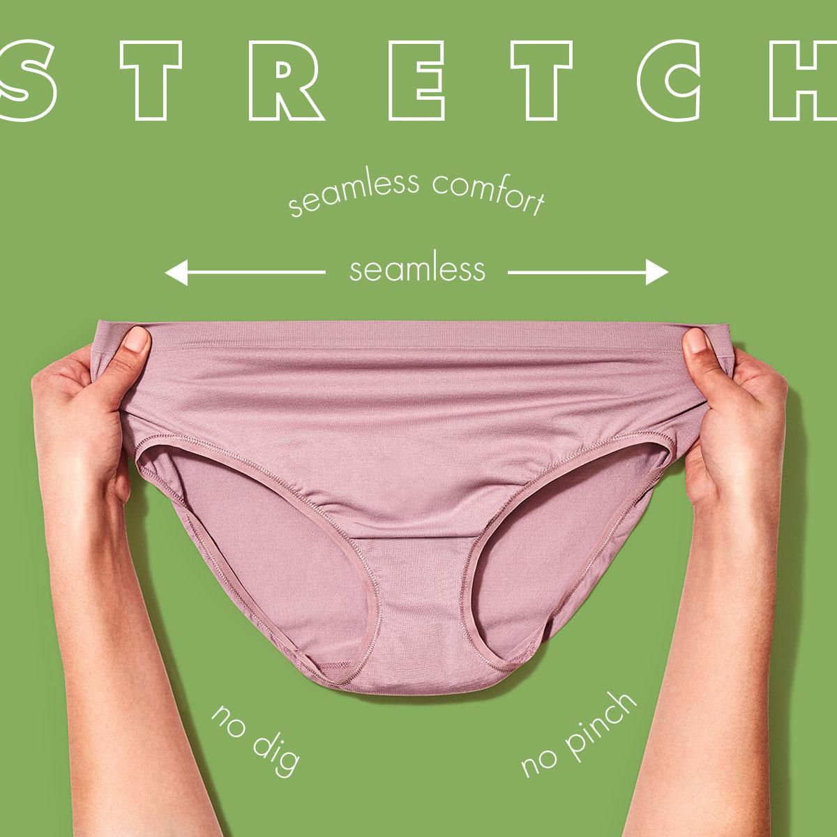 Fruit of the Loom Women's 360 Stretch Seamless Bikini Panty, 4-Pack, Sizes  5 - 8 
