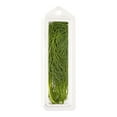 thumbnail image 2 of Fresh Dill, Your Fresh Market, 7 g, 2 of 2