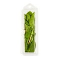 thumbnail image 2 of Fresh Mint, Your Fresh Market, 7 g, 2 of 2