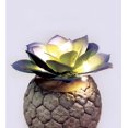 thumbnail image 3 of Boutique Home Base ciment LED Décor Succulent, 3 of 3